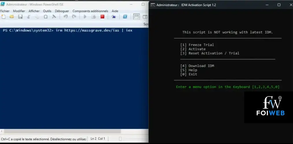 Images des processus d'activation de idm à vie 1