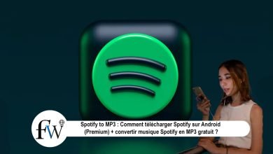Spotify to MP3 : Comment télécharger Spotify sur Android premium apk