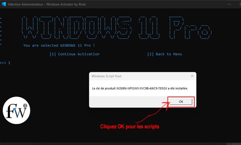 Alternatives de kms pico  : scripts d'activation windows 